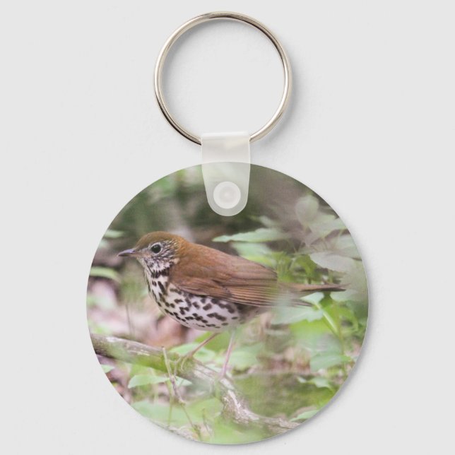 Wood Thrush Keychain (Front)