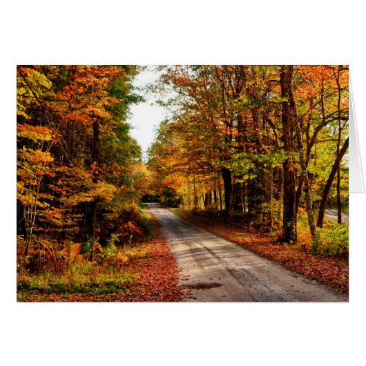Wood trail with fall foliage cards (Front Horizontal)