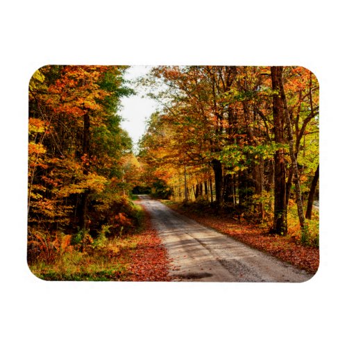 Wood trail with fall foliage magnet