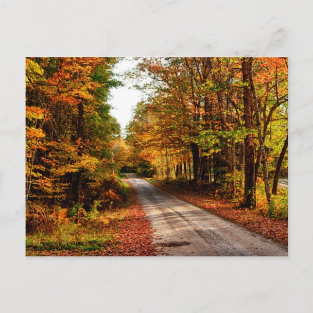 Wood trail with fall foliage postcard (Front)