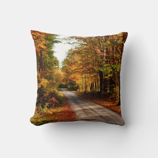 Wood trail with fall foliage throw pillow (Front)