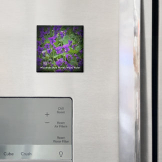 Wood Violet in Spotlight Wisconsin State Flower Magnet