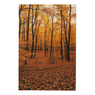 Wood Wall Art