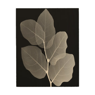 Wood Wall Art - XRay New Buds