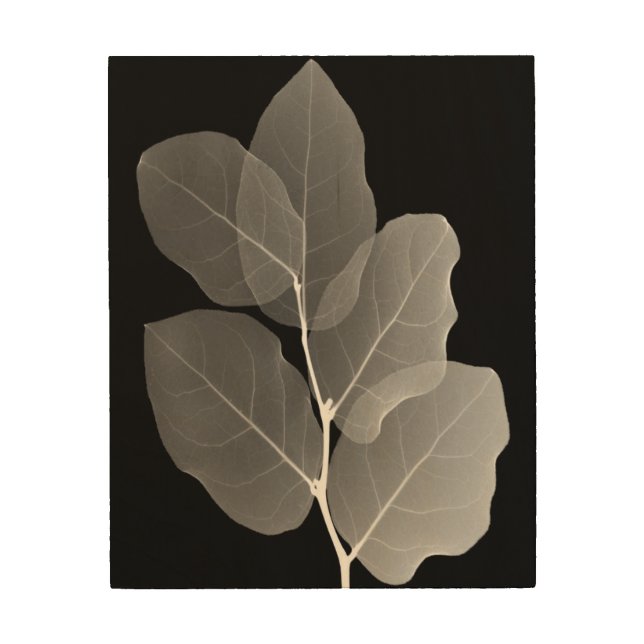 Wood Wall Art - XRay New Buds (Front)