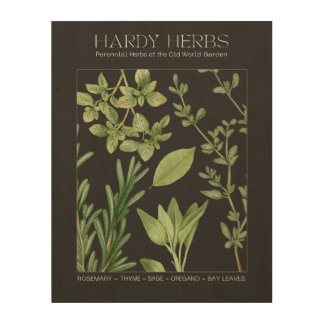 Wood Wall Hardy Herbs Botanical Print 