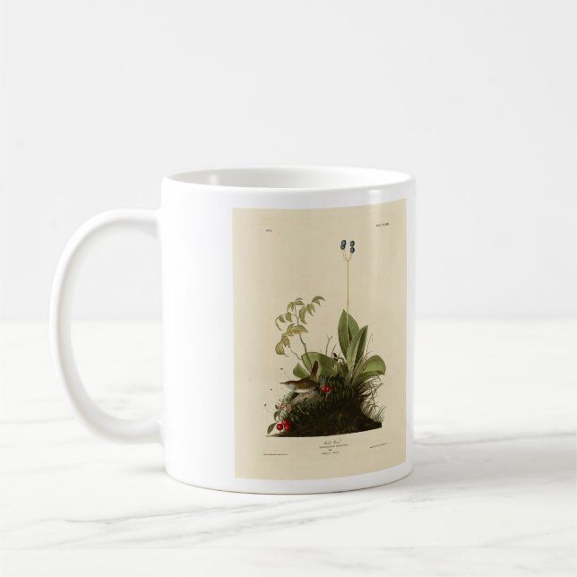 Wood Wren (House Wren), Audubon's Birds of America Coffee Mug (Left)