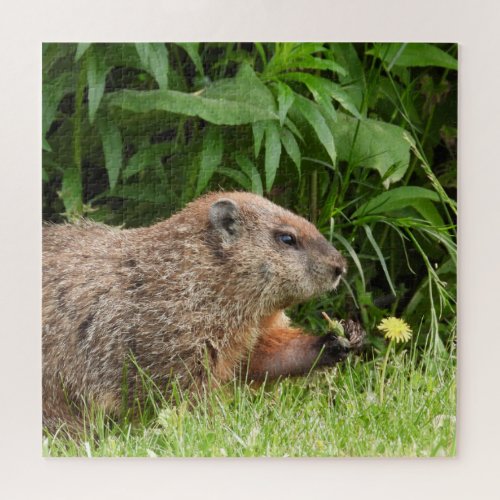 Woodchuck AKA Groundhoug with Flower Jigsaw Puzzle