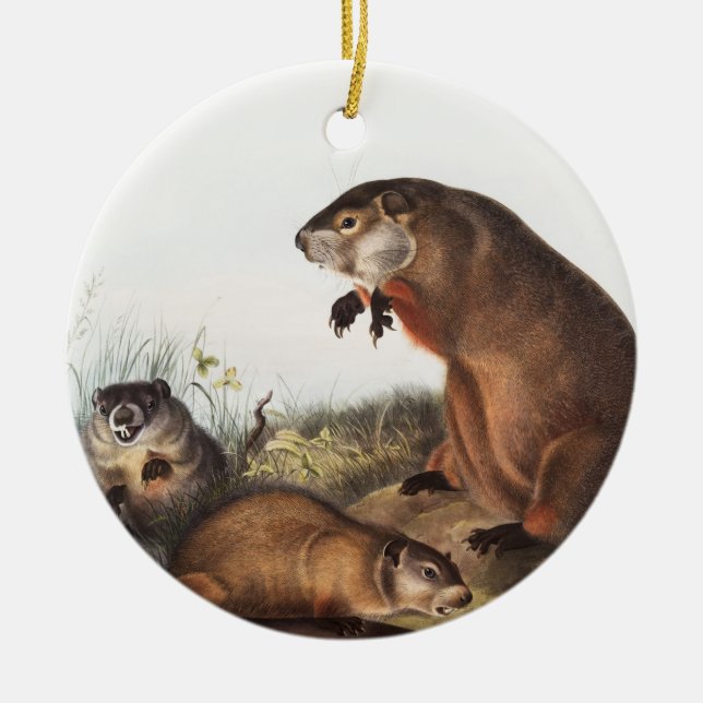 Woodchuck (Arctomys monax) Illustration Ceramic Ornament (Front)