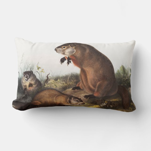 Woodchuck (Arctomys monax) Illustration Lumbar Pillow (Front)