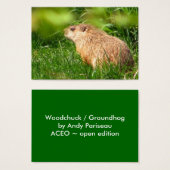 Woodchuck ~ ATC (Front & Back)