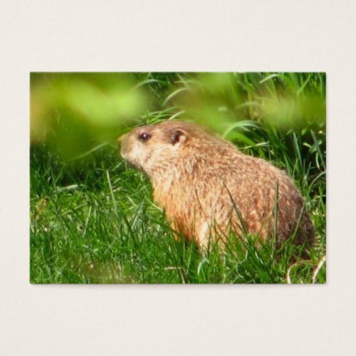 Woodchuck ~ ATC Business Card Template