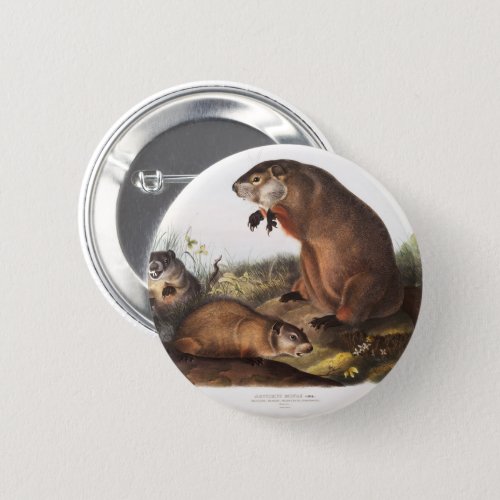 Woodchuck Camping Deco Gifts Button