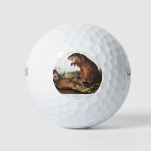Woodchuck Camping Deco Gifts Golf Balls