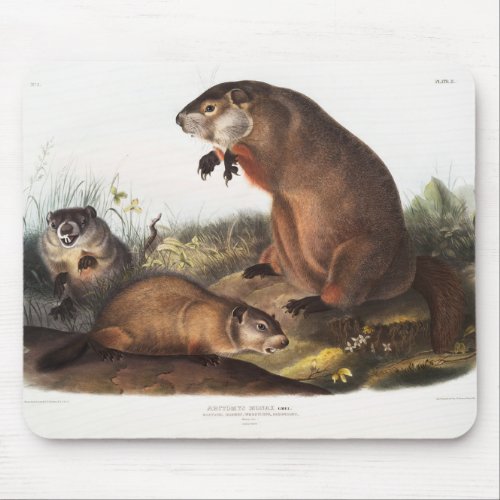 Woodchuck Camping Deco Gifts Mouse Pad