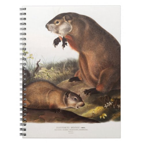 Woodchuck Camping Deco Gifts Notebook