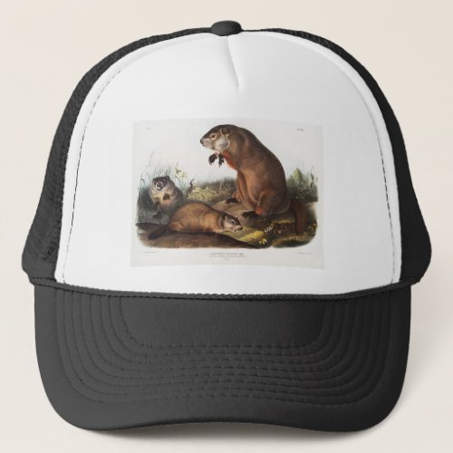 Woodchuck Camping Deco Gifts Trucker Hat