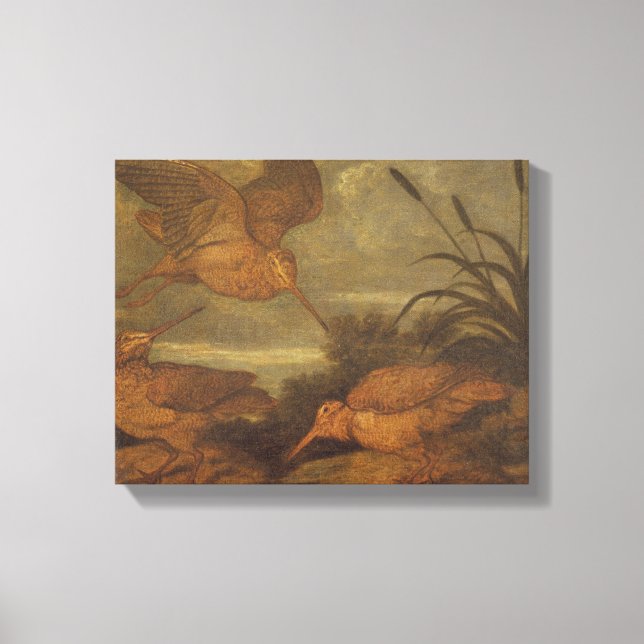 Woodcock at Dusk, c.1676 (oil on canvas) Canvas Print (Front)