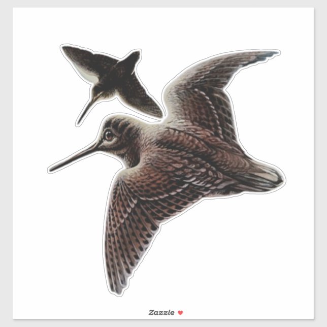 Woodcock hunting sticker (Sheet)