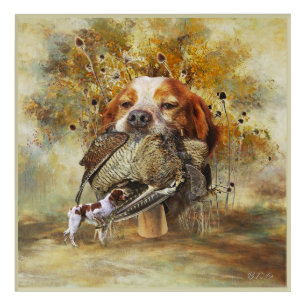 Woodcock hunting with Brittany Spaniel Acrylic Print