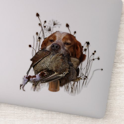 Woodcock hunting with Brittany Spaniel    Sticker