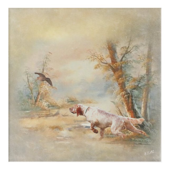 Woodcock Hunting with English Setter in forest, Ar Acrylic Print (Front)