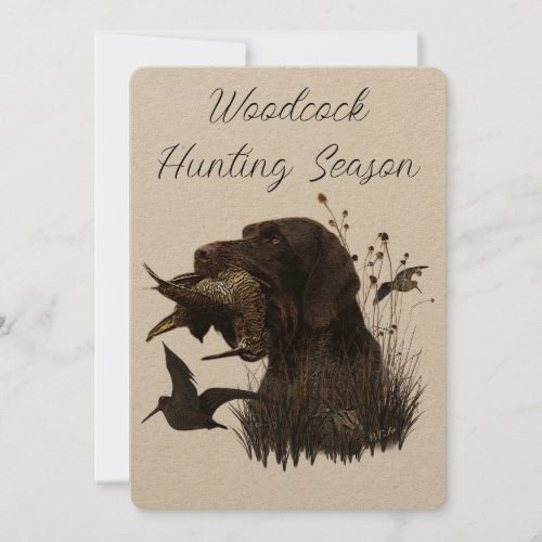 Woodcock Hunting with German Wirehaired Pointer   Invitation