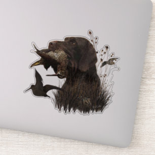 Woodcock Hunting with German Wirehaired Pointer Sticker