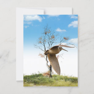 Woodcock  postcard
