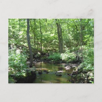Wooded Creek Postcard by tmurray13 at Zazzle