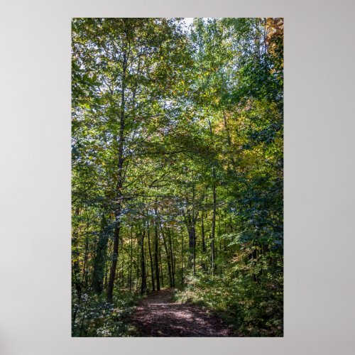 Wooded Path Poster