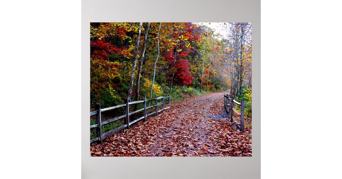 Wooded Path Poster | Zazzle