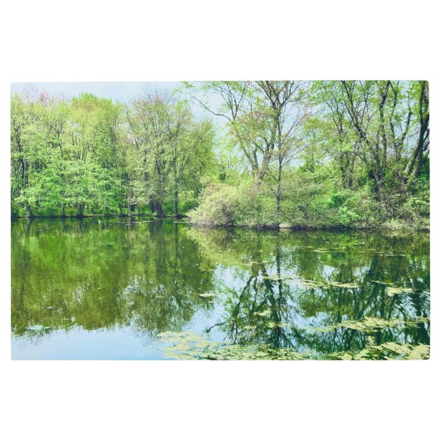 Wooded Pond Summer Scene Photo Metal Wall Art (Front)