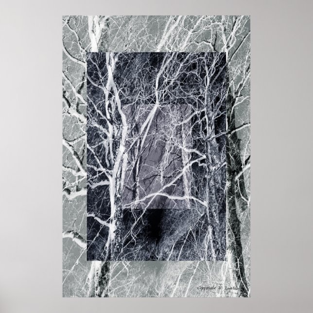 Wooded Windows Poster (Front)