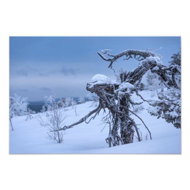 Wooden alien in winter setting photo print (Front)