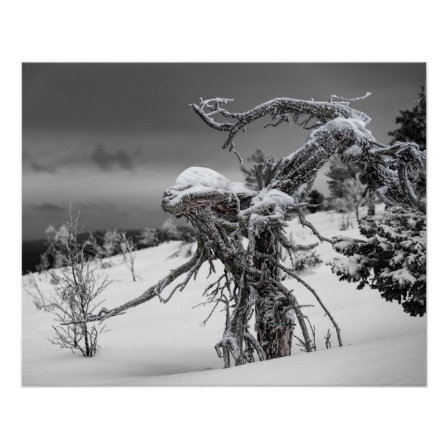 Wooden alien in winter setting poster (Front)