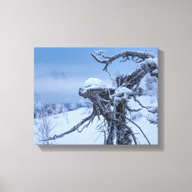 Wooden alien winter canvas print (Front)