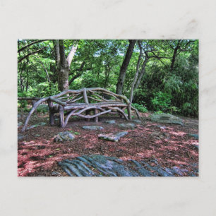 Wooden bench in Central Park, NYC Postcard