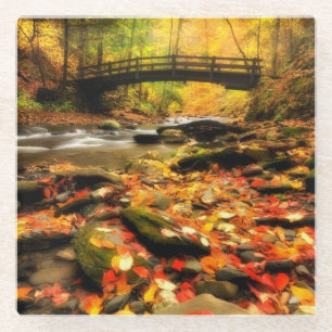 Wooden Bridge and Creek in Fall Glass Coaster