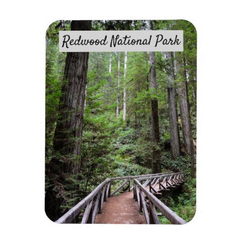 Wooden Bridge and Sequoias  Redwood National Park Magnet