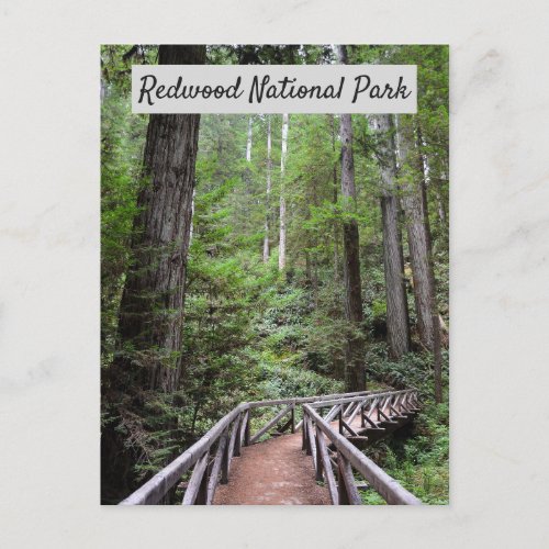 Wooden Bridge and Sequoias  Redwood National Park Postcard