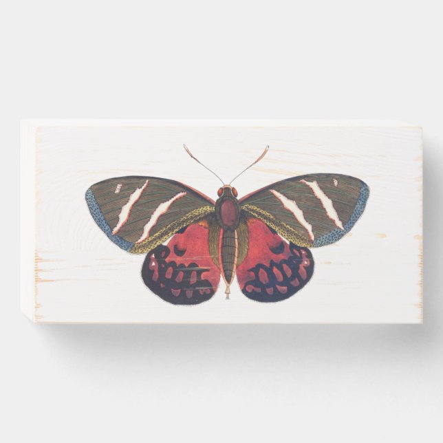 Wooden Butterfly Plaque (Front Horizontal)