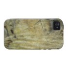 Wooden Cracked Stump