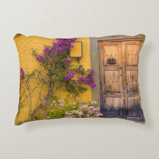 Wooden doorway decorative pillow (Front)