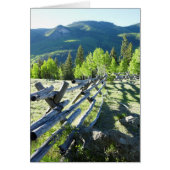 Wooden Fenceline (Front)