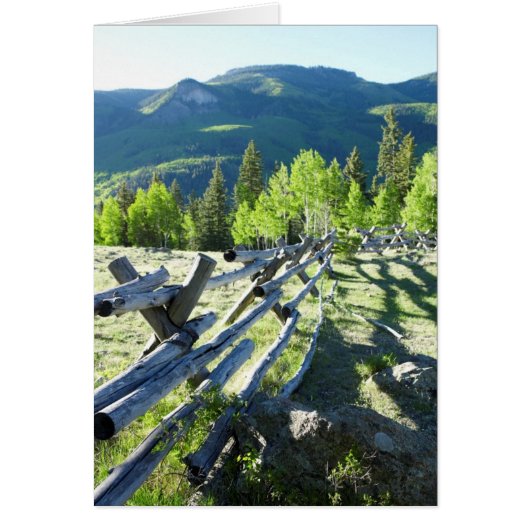 Wooden Fenceline (Front)