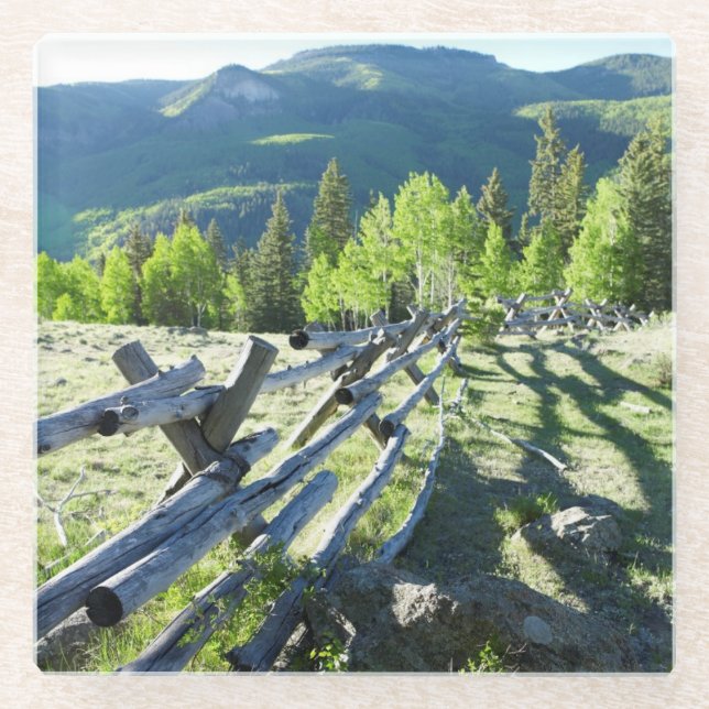 Wooden Fenceline Glass Coaster (Front)