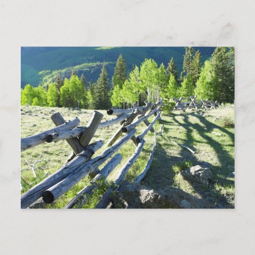 Wooden Fenceline Postcard