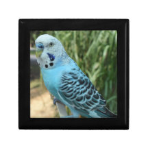 Wooden Jewelry Keepsake Box