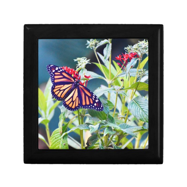 Wooden Jewelry Keepsake Box Monarch Butterfly (Front)